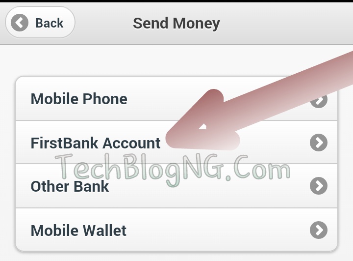 how to send money with firstmonie