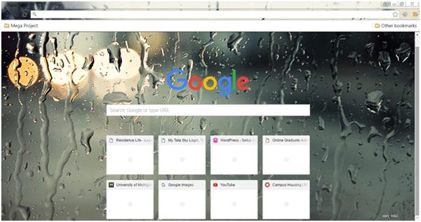 Google chrome themes