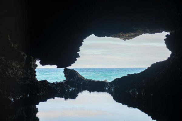 Animal Flower Cave