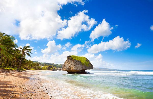 Bathsheba bay
