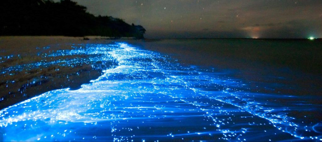 Vaadhoo Island, Maldives attractions
