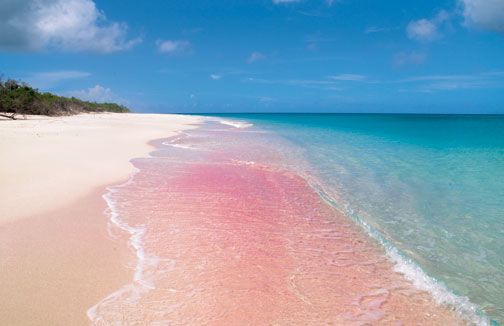 Barbuda Pink sand Beaches, Caribbean Sea
