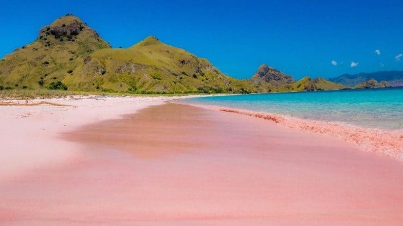 Bonaire Pink Beach, Dutch Caribbean Island