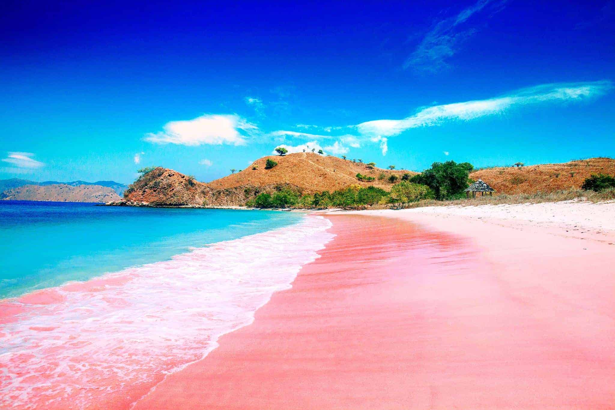 Komodo Pink sand Beach, Indonesia