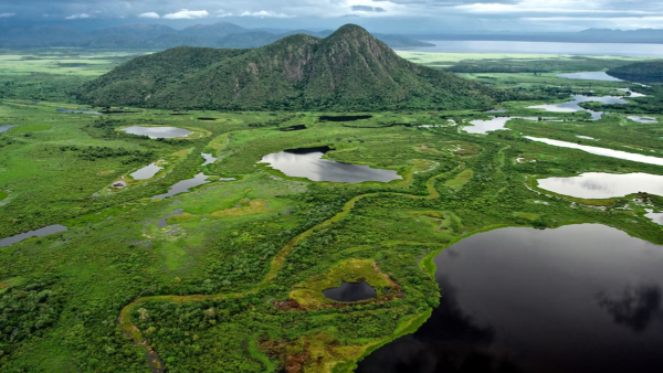 Pantanal - Brazil tourist attractions