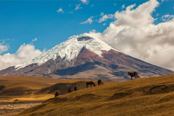 Cotopaxi - Ecuador tourist attractions