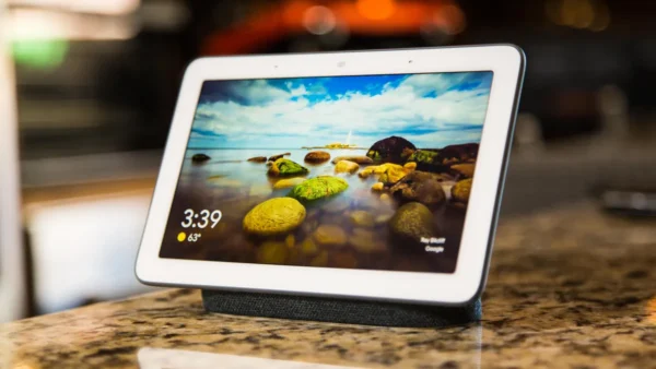 Google Nest Home Hub - gadgets for programmers