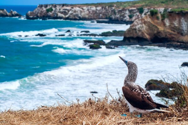 Machalilla National Park - Ecuador tourist attractions