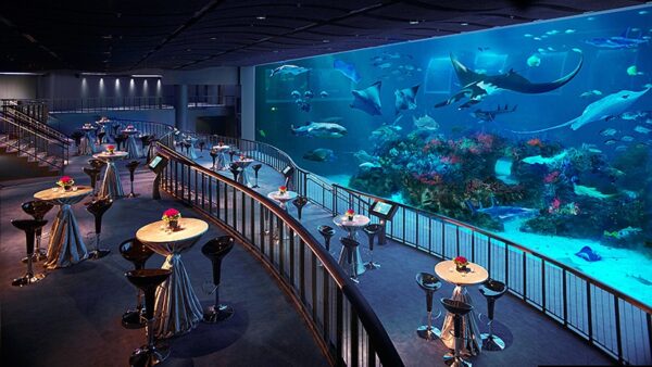 S.E.A Aquarium, Singapore
