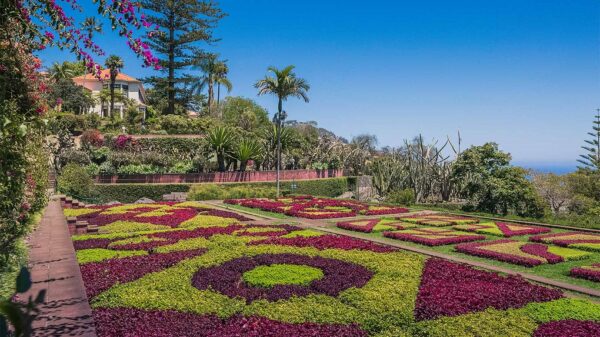 Madeira Botanical Garden in Funchal