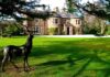 Small Wedding Venues in Scotland for Your Joyful Occasion Small Wedding Venues in Scotland for Your Joyful Occasion