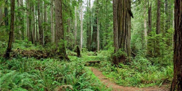 California attractions