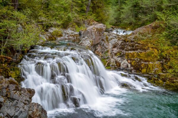 Willamette National Park