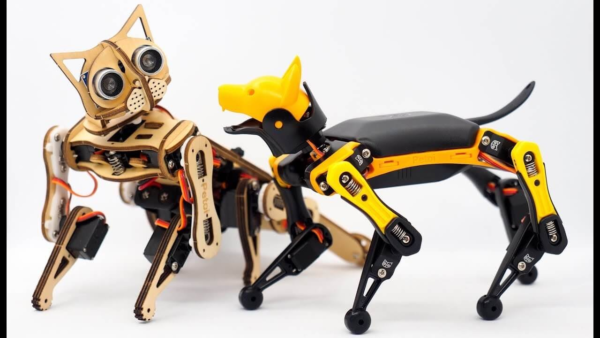 Petoi Bittle Toy