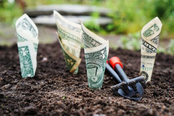 Best Way to Invest Savings